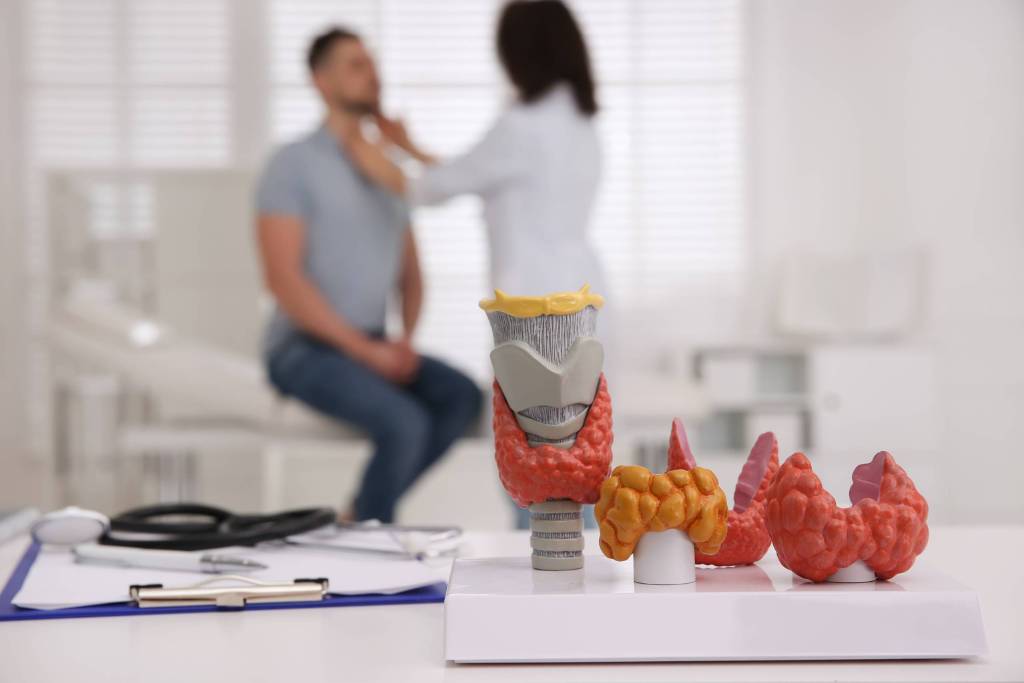 Doctor performing a thyroid exam on a male patient with anatomical thyroid models in focus.